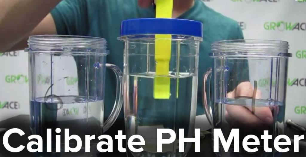 Calibrating Your pH Meter on How To Read pH Meter