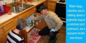 10 Effective Ways To Get Rid Of Waterbugs 2 how to get rid of waterbugs