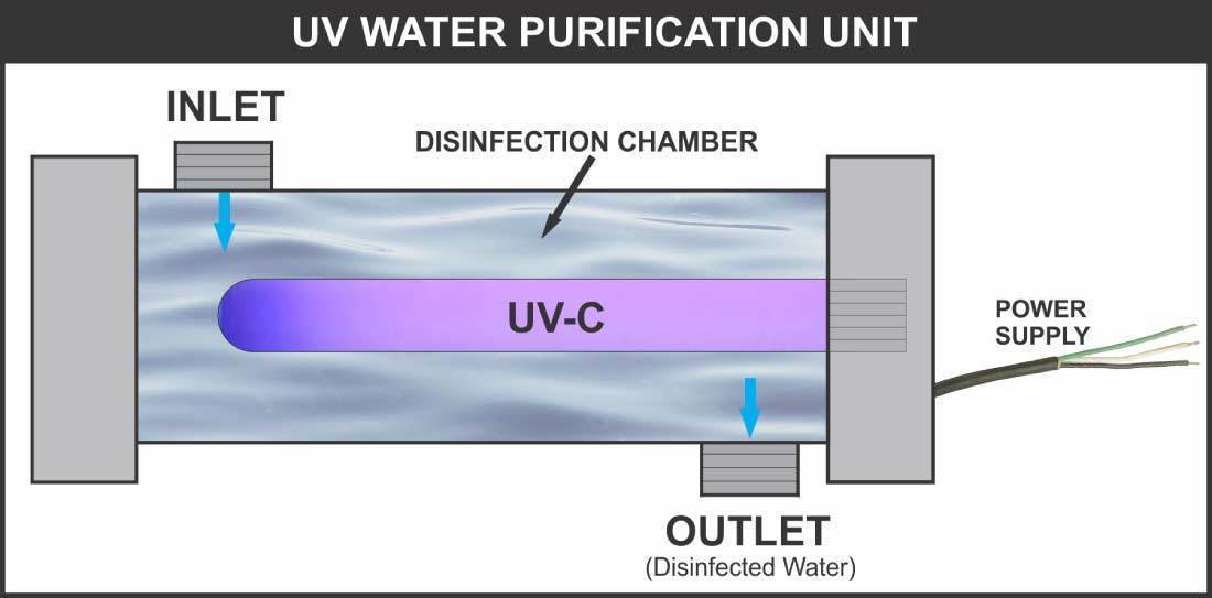 Mechanism of UV Water Purification