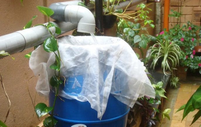 Germs and Other Contaminants of Rainwater