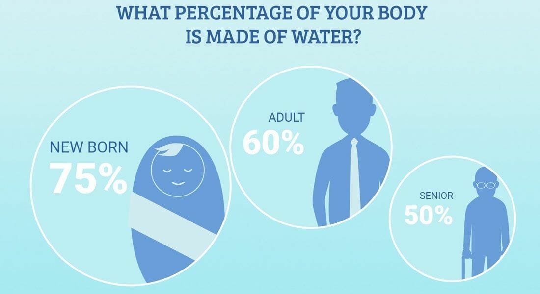 How-Much-Water-is-in-the-Human-Body How Much Water Is In The Human Body