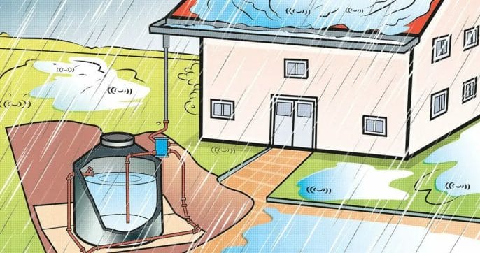 How To Harvest Rainwater