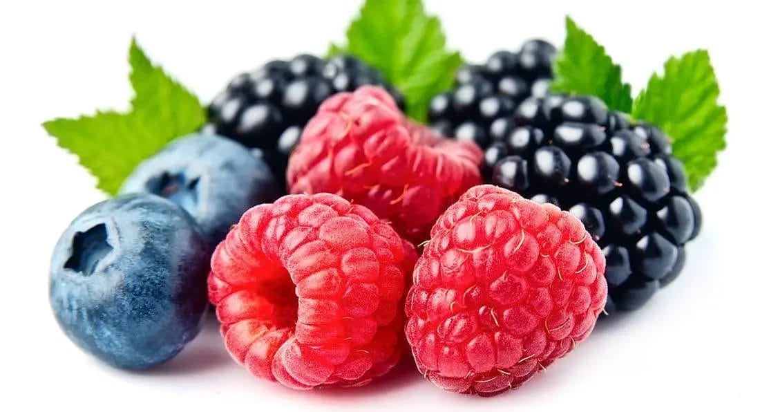 The-Importance-of-Antioxidants The Importance of Antioxidants