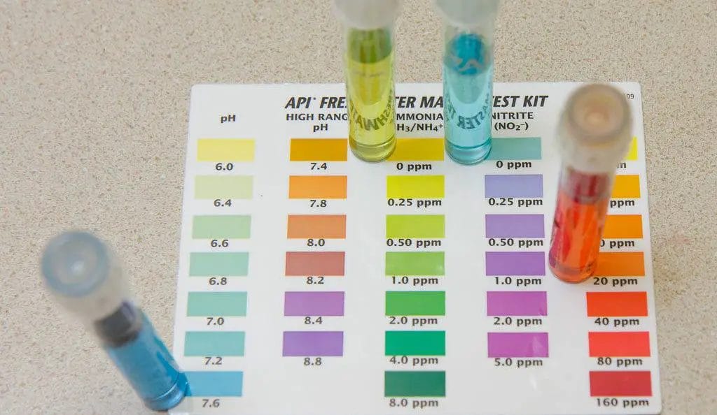 Benefits-of-a-Water-Test-Kit The Benefits of Using Water Test Kits