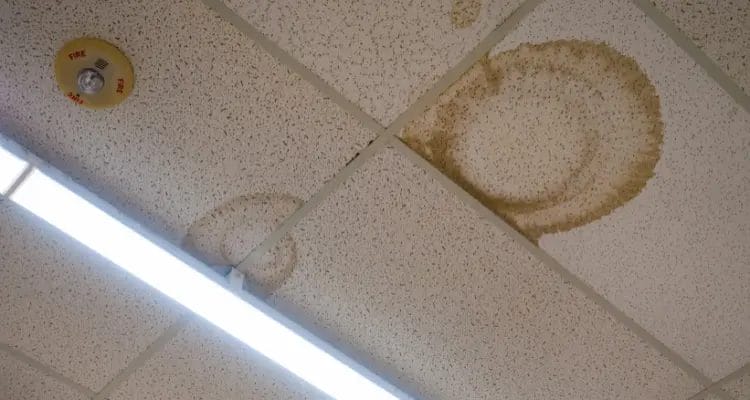 Hard Water Spots Around Your Home