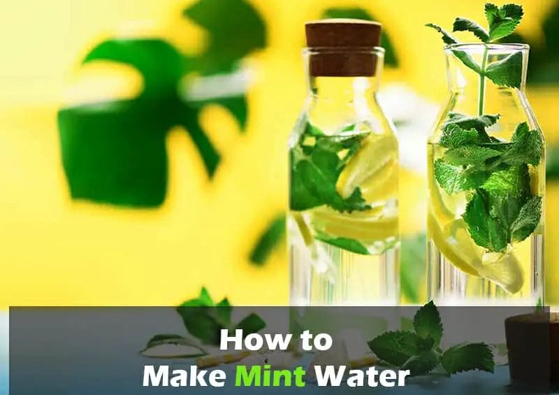 Make Mint Water Benefits Of Hot Water Infused With Mint