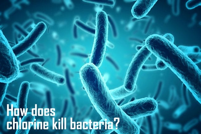 microscopic blue bacteria background