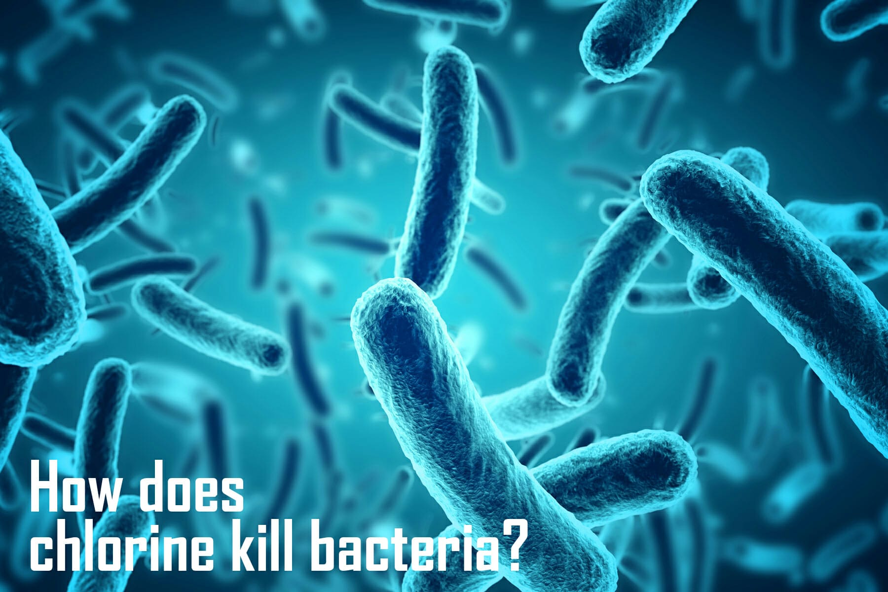 How does chlorine kill bacteria