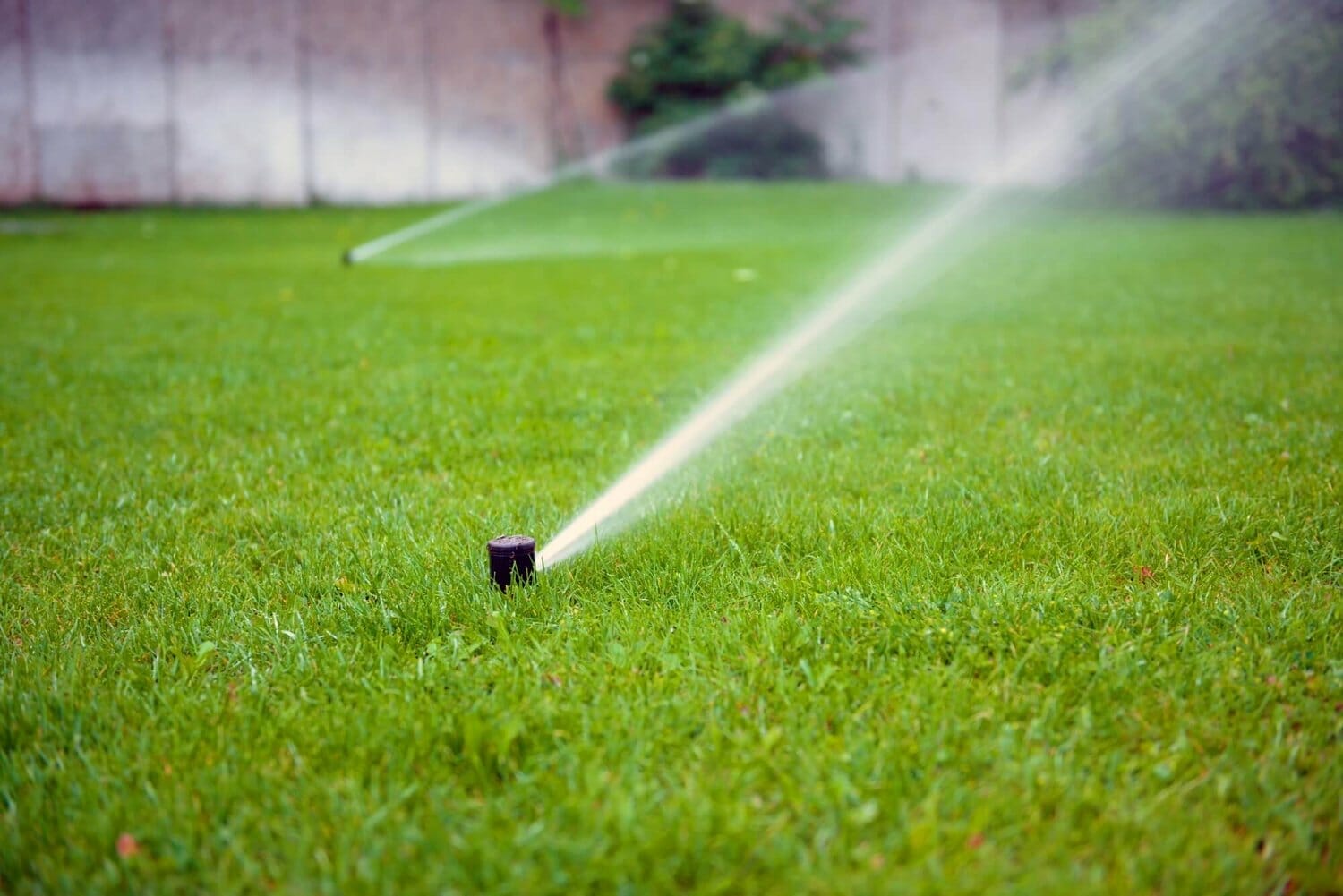  How long does it take for sprinklers to provide an inch of water waterev