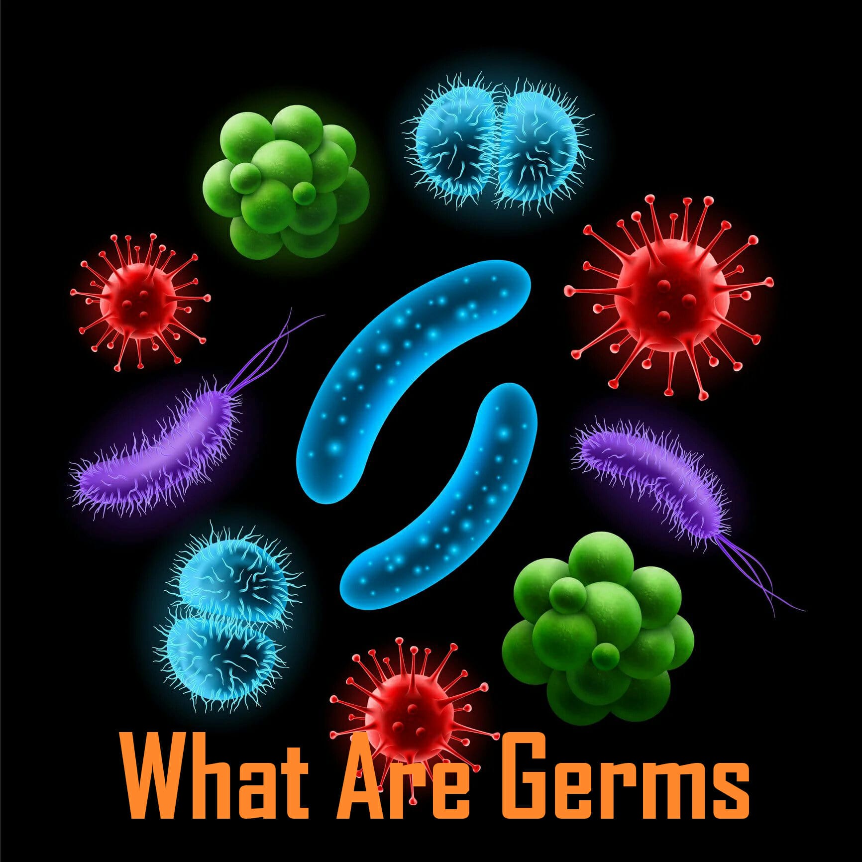 What are germs