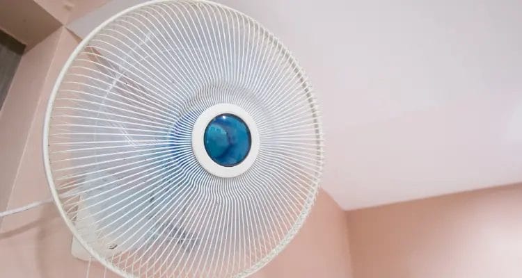 Drying Fan