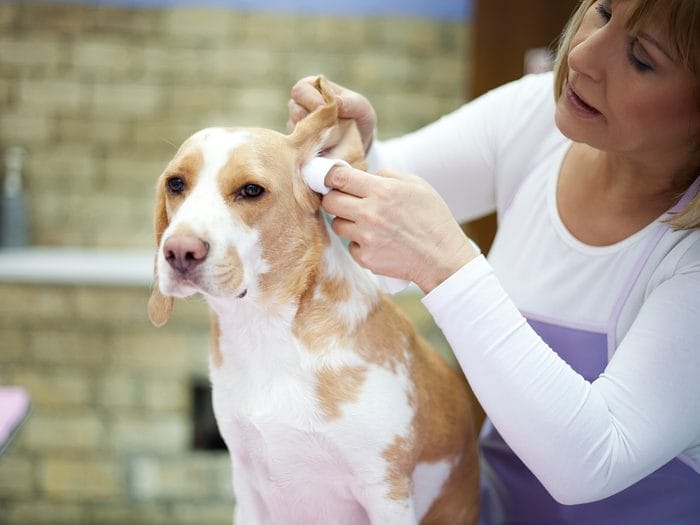Ear Cleaner Ear Cleaner.