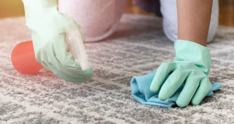 How to clean an area rug by removing stains with rubbing alcohol