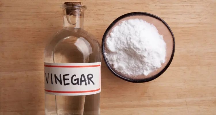 How to clean an area rug with vinegar?