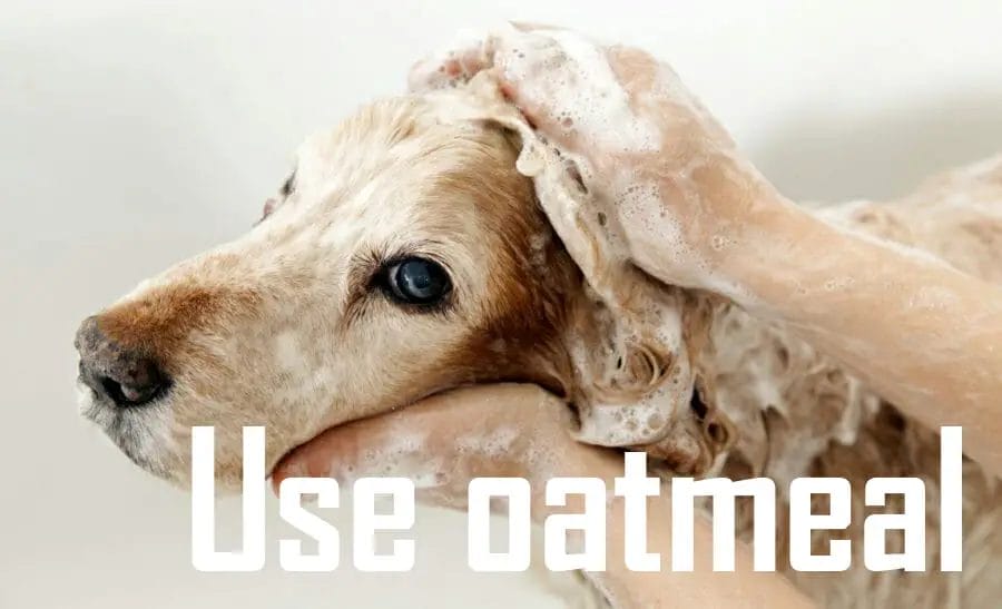 Use oatmeal