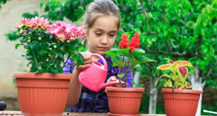 How much water do flowers in pots need?