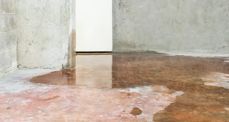 What is Water Damage?