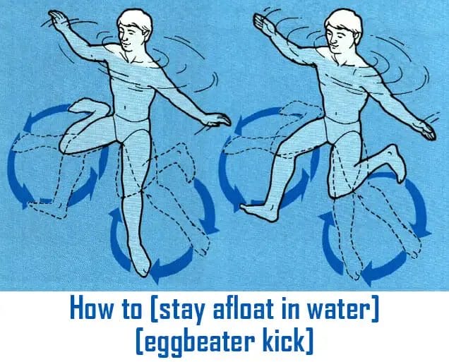 How To Stay Afloat In Water Eggbeater Kick