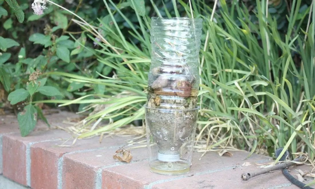 How to Make Water Purifier Model! Learn How to Make a Homemade Filter