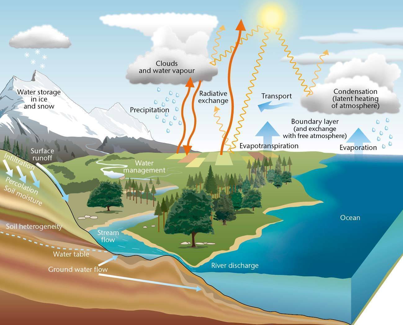 The Water Cycle Definition Easy Science Lesson For Kids