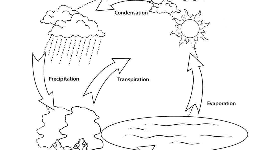 The water cycle diagram