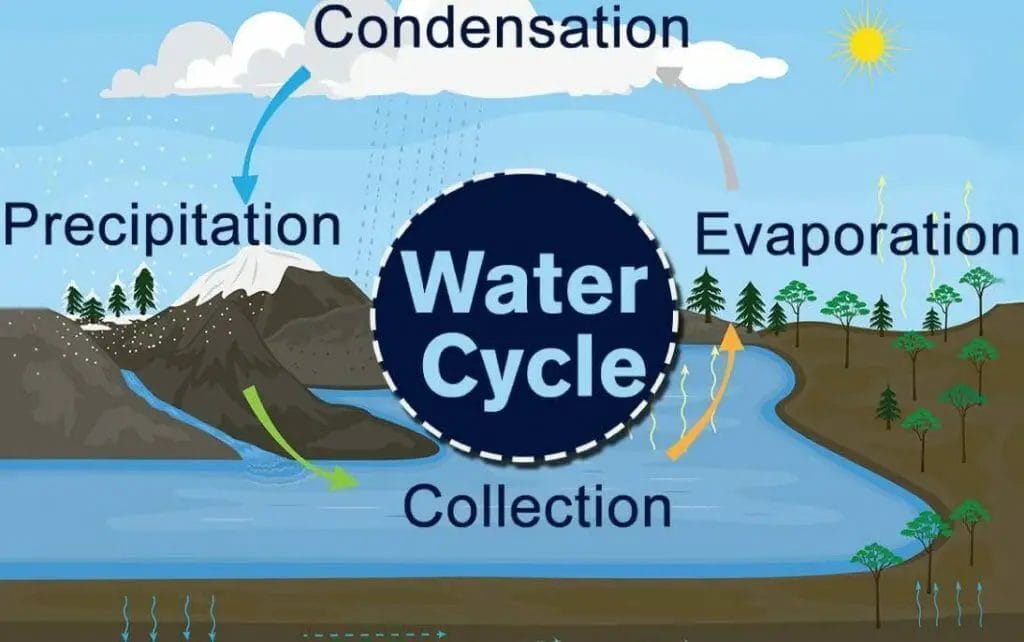 What Is The Definition Of Collection Water Cycle