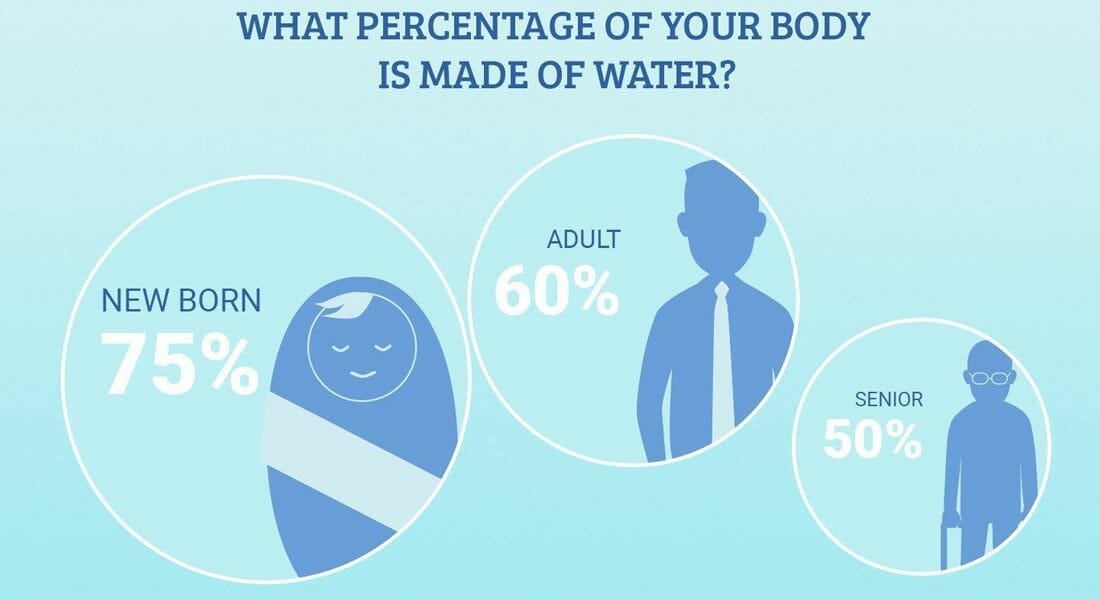 How Much Water Is In The Human Body