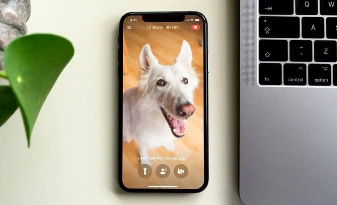 Let-an-App-Help-You-Stay-Up-to-Date Let an App Help You Stay Up to Date