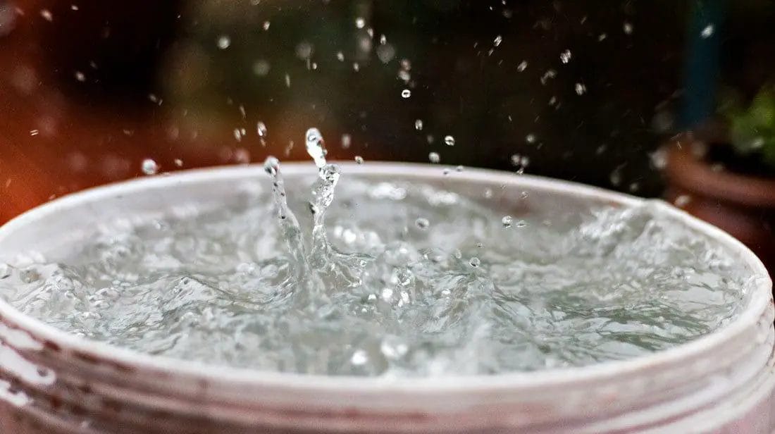 How to Collect Rainwater for Drinking! Best Easy Ways