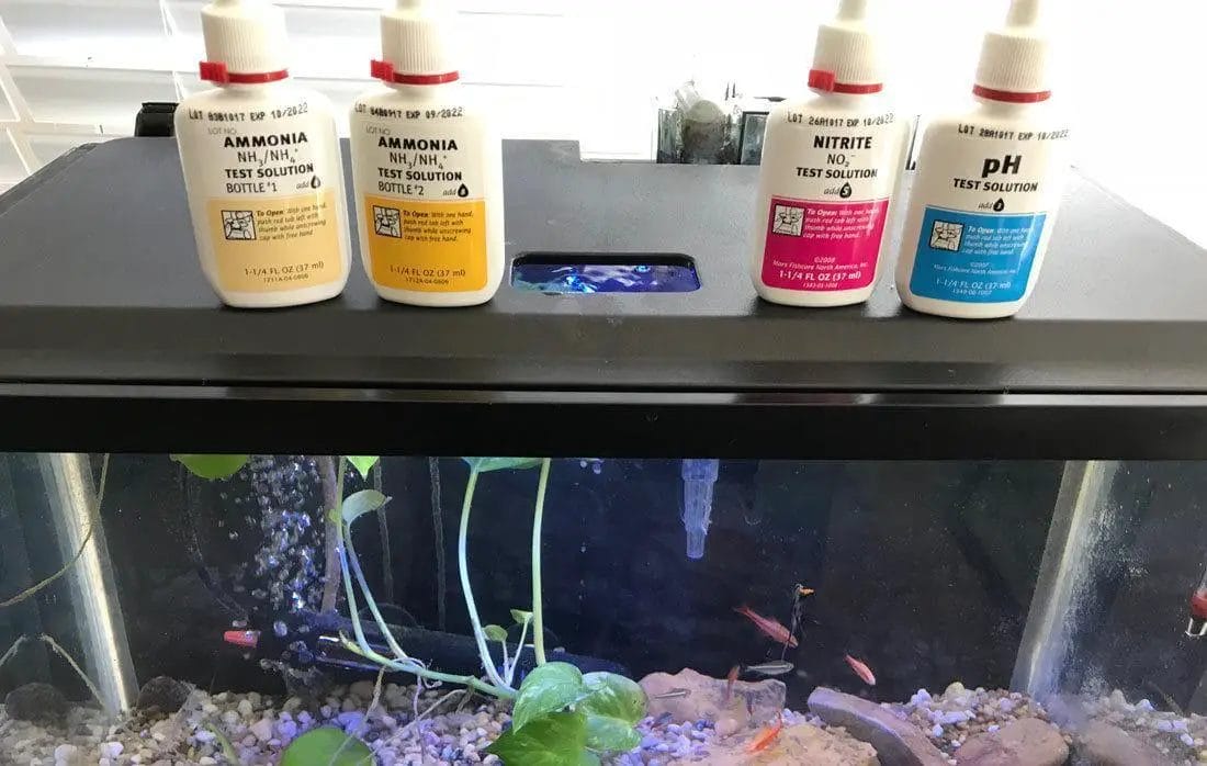 Is Soft Water Safe For Fish Tanks