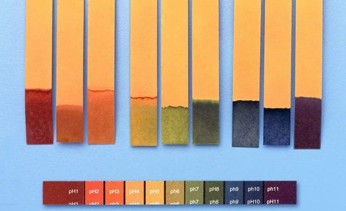 Use-a-pH-paper Use a pH paper