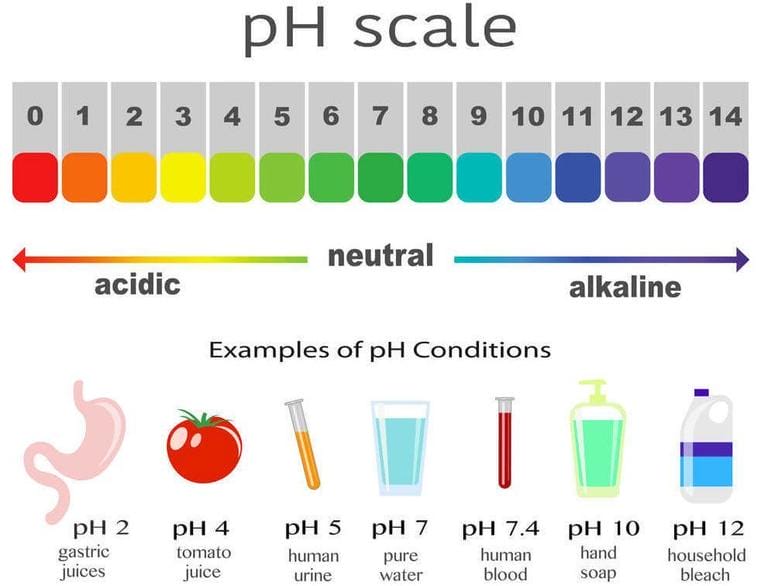 how-to-lower-ph-in-water