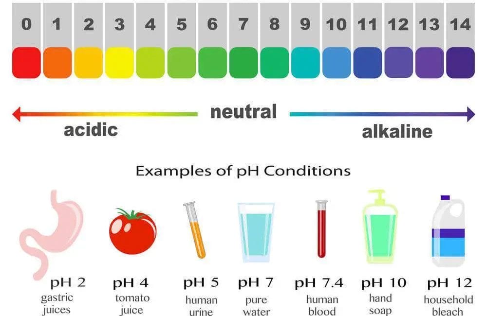 What is the PH of Distilled Water What is the PH value of water and