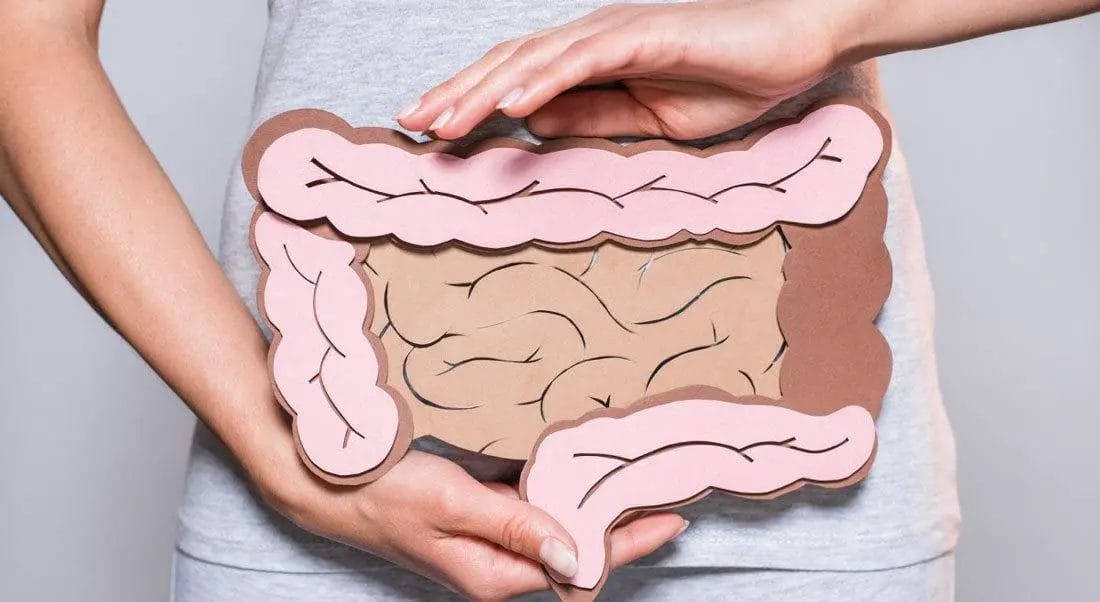 How Digestion Works