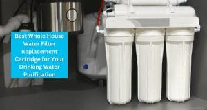 Best Whole House Water Filter Replacement Cartridge