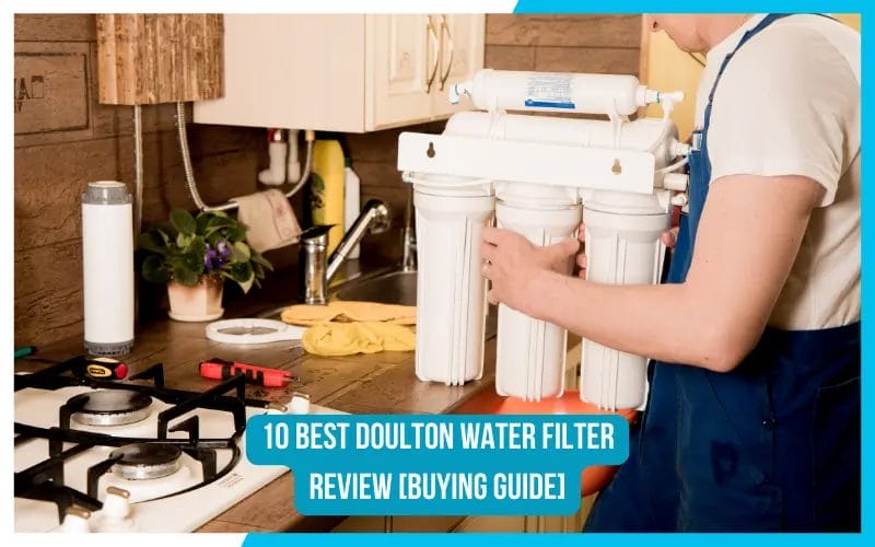 10 Best Doulton Water Filter Review [Buying Guide]