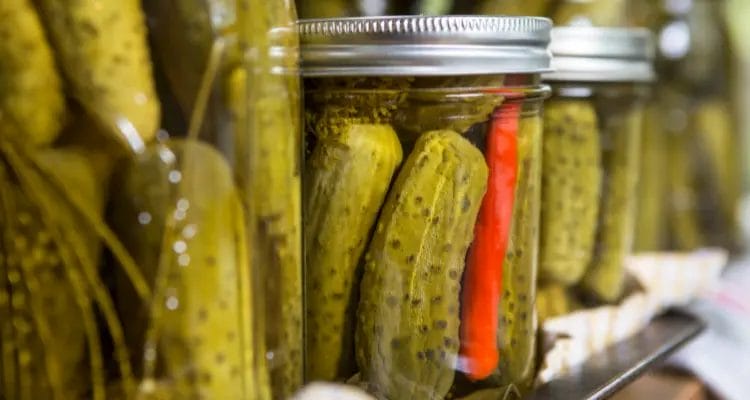 Canning Dill Pickles is Easy