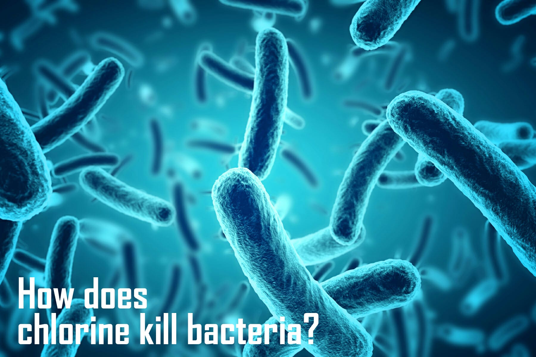 how-does-chlorine-kill-bacteria-the-mechanism