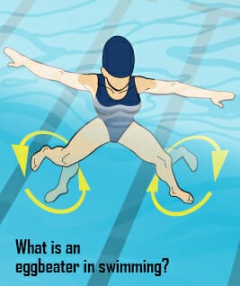 What Is An Eggbeater In Swimming Waterev What is an eggbeater in swimming waterev