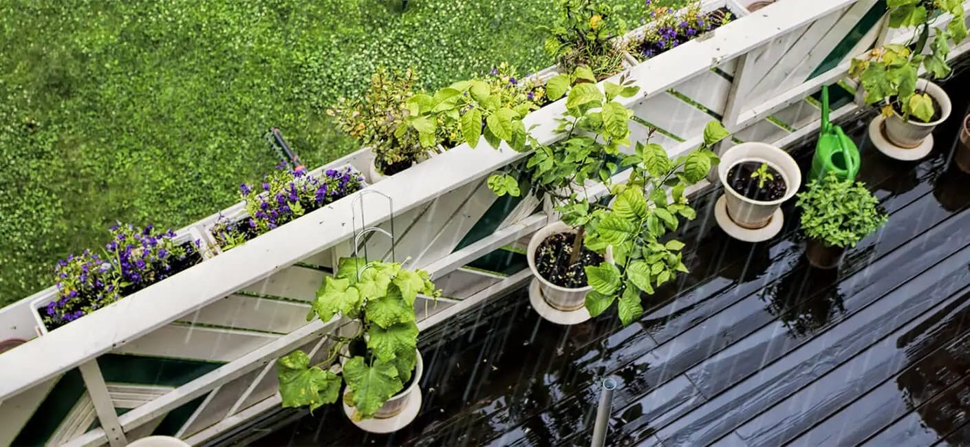  rainwater be stored for plants