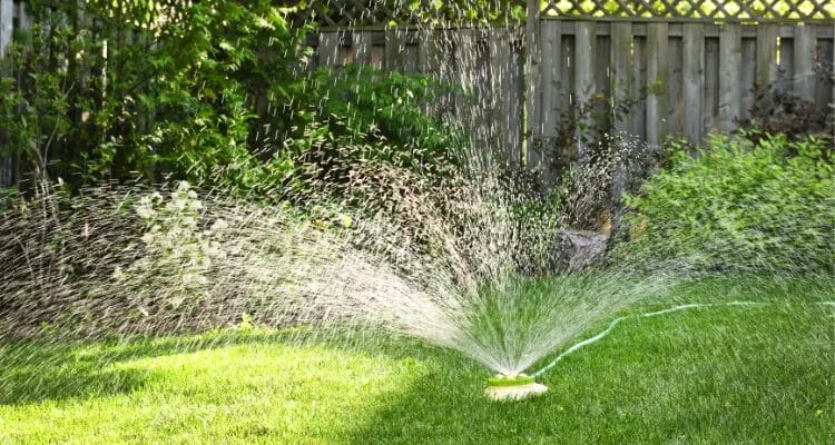 How long should you water new grass seed?