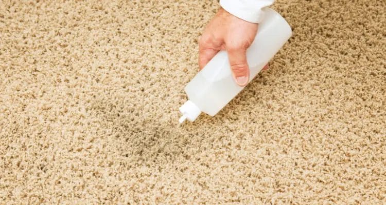 How to prevent stains on your area rug?