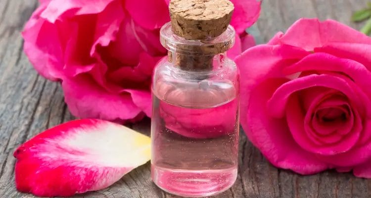 What is rose water toner?