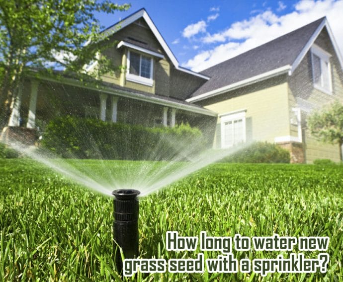 How long to water new grass seed with a sprinkler waterev