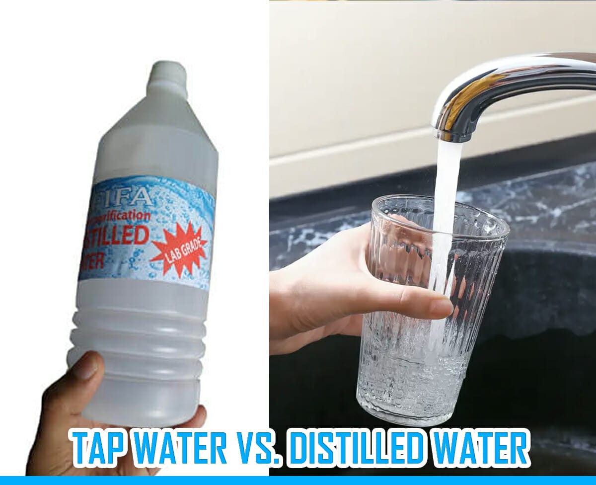 Tap Vs. Distilled Water Which Is Best For Drinking?