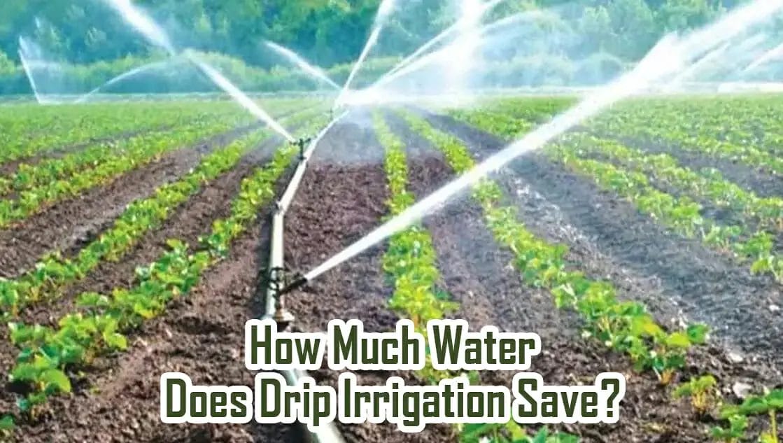 How Much Water Does Drip Irrigation Save? The Benefits, Cost, And Use