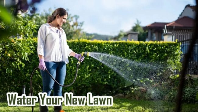 water your new lawn