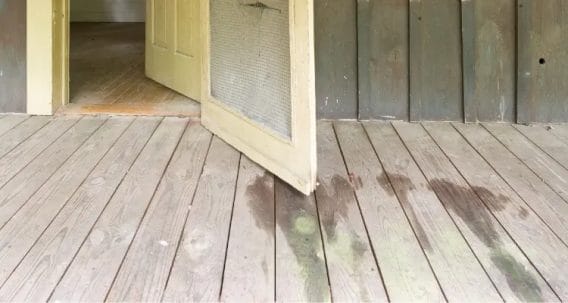 Check For Leaks Around Windows And Doors Check for leaks around windows and doors