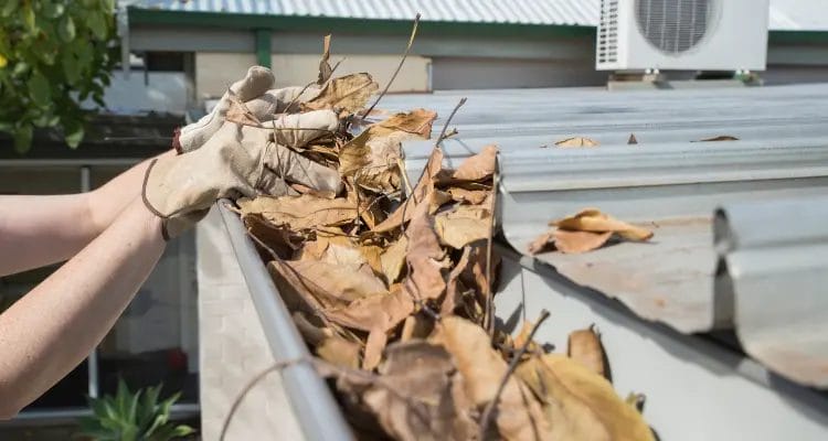 Clean and maintain gutters